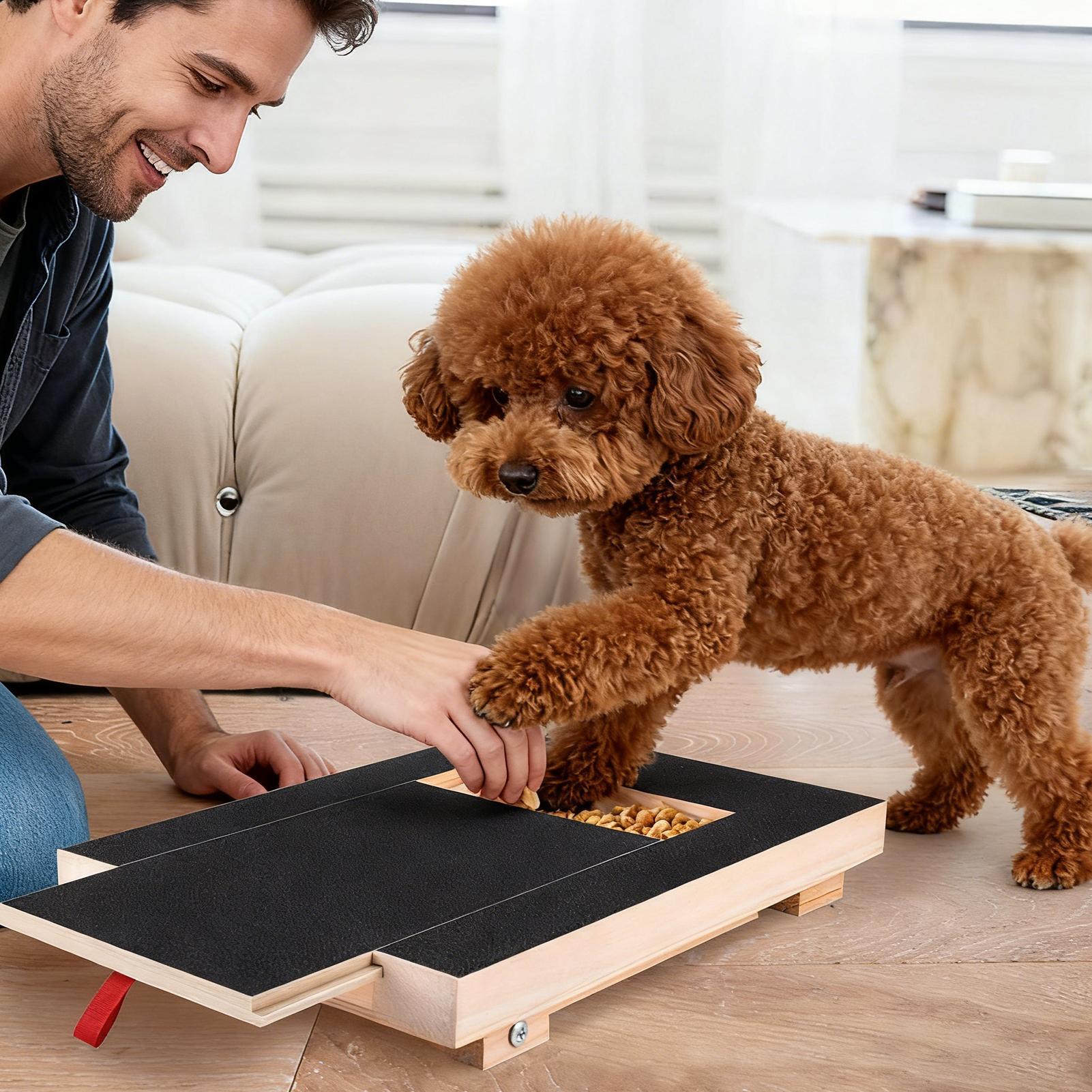 犬用爪やすりボード 引き出し式スナックボックス付き 木製サン - Woodworking Magazine のレビューと価格
