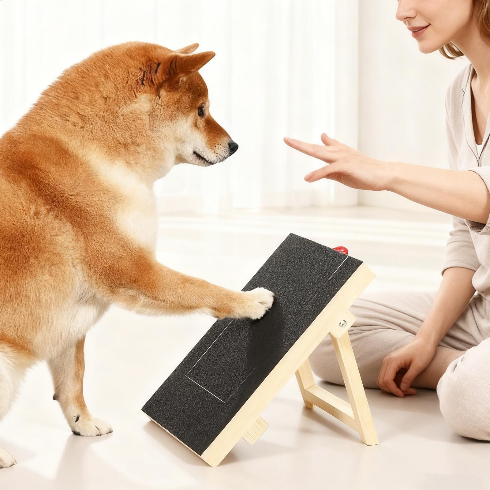 木製ペット用爪とぎボード（犬用）、内蔵おやつボックス、爪切り - Woodworking Magazine のレビューと価格